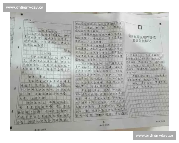 以足球比赛作文开头展开的激情对决与青春成长故事梦想拼搏记忆篇